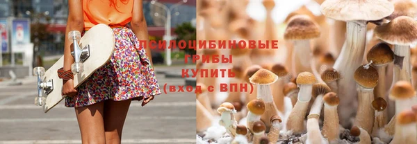 первитин Белоозёрский