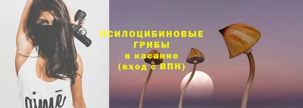МДПВ Белокуриха