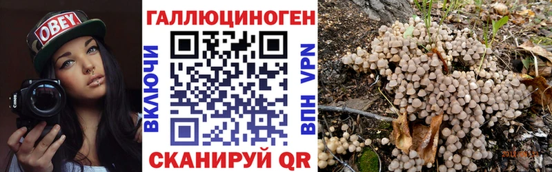 OMG зеркало  Торжок  Галлюциногенные грибы GOLDEN TEACHER 